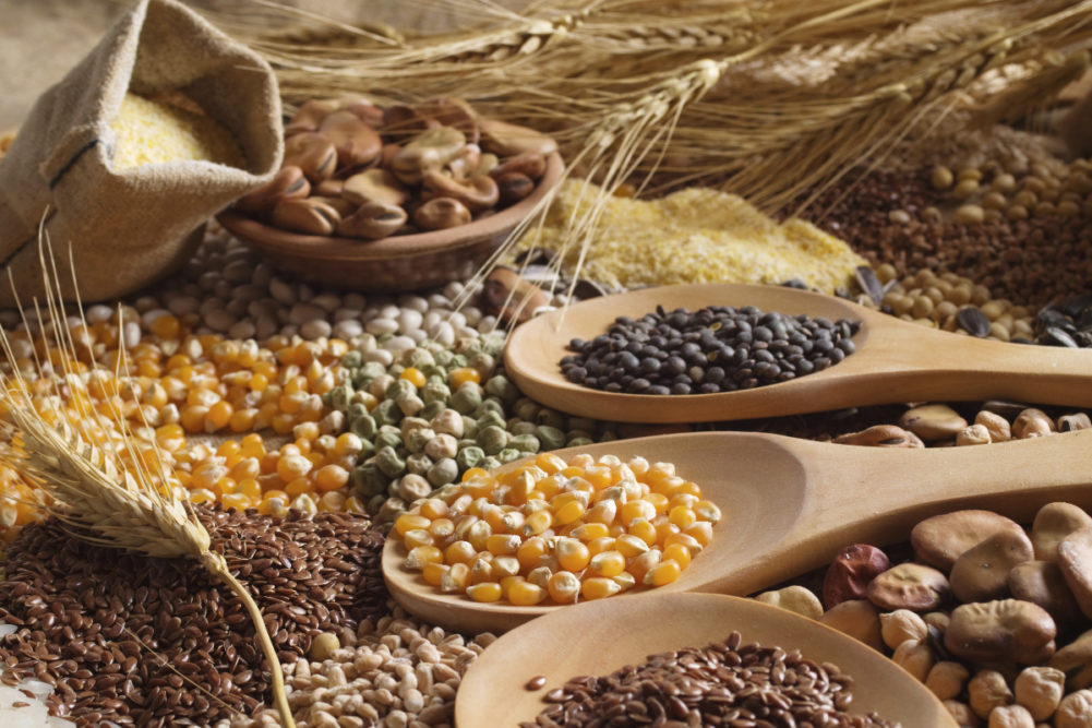 Grains and Oil