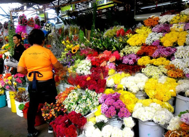 Flower shop