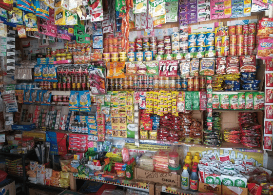 Mini Grocery Store